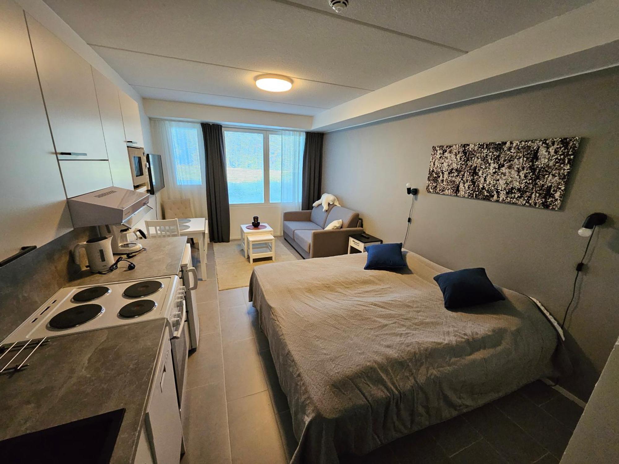 Levillenet Studio Apartment At Levi City Centre 외부 사진
